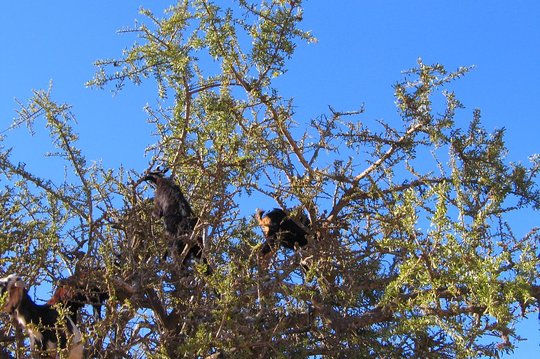 Tour image 3