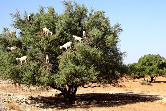 Tour image 14