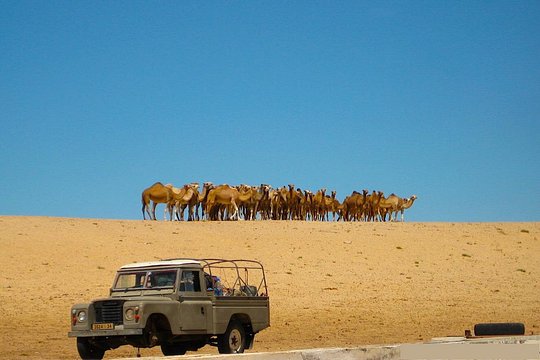 Tour image 3